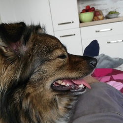 Samy