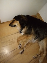 IMG 20180825 171606