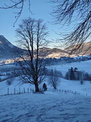 Aussee winter