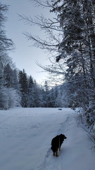 Aussee winter