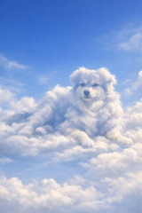 WhatsApp Image 2026-02-18 at 18.11.49